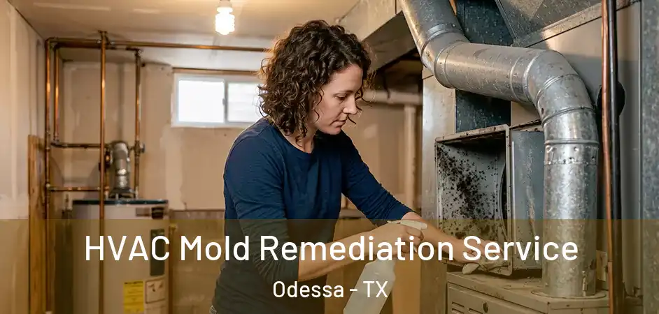  HVAC Mold Remediation Service Odessa - TX